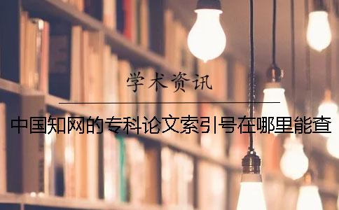 中国知网的专科论文索引号在哪里能查找