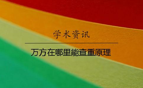 万方在哪里能查重原理