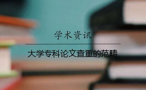 大学专科论文查重的范畴