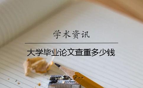 大学毕业论文查重多少钱
